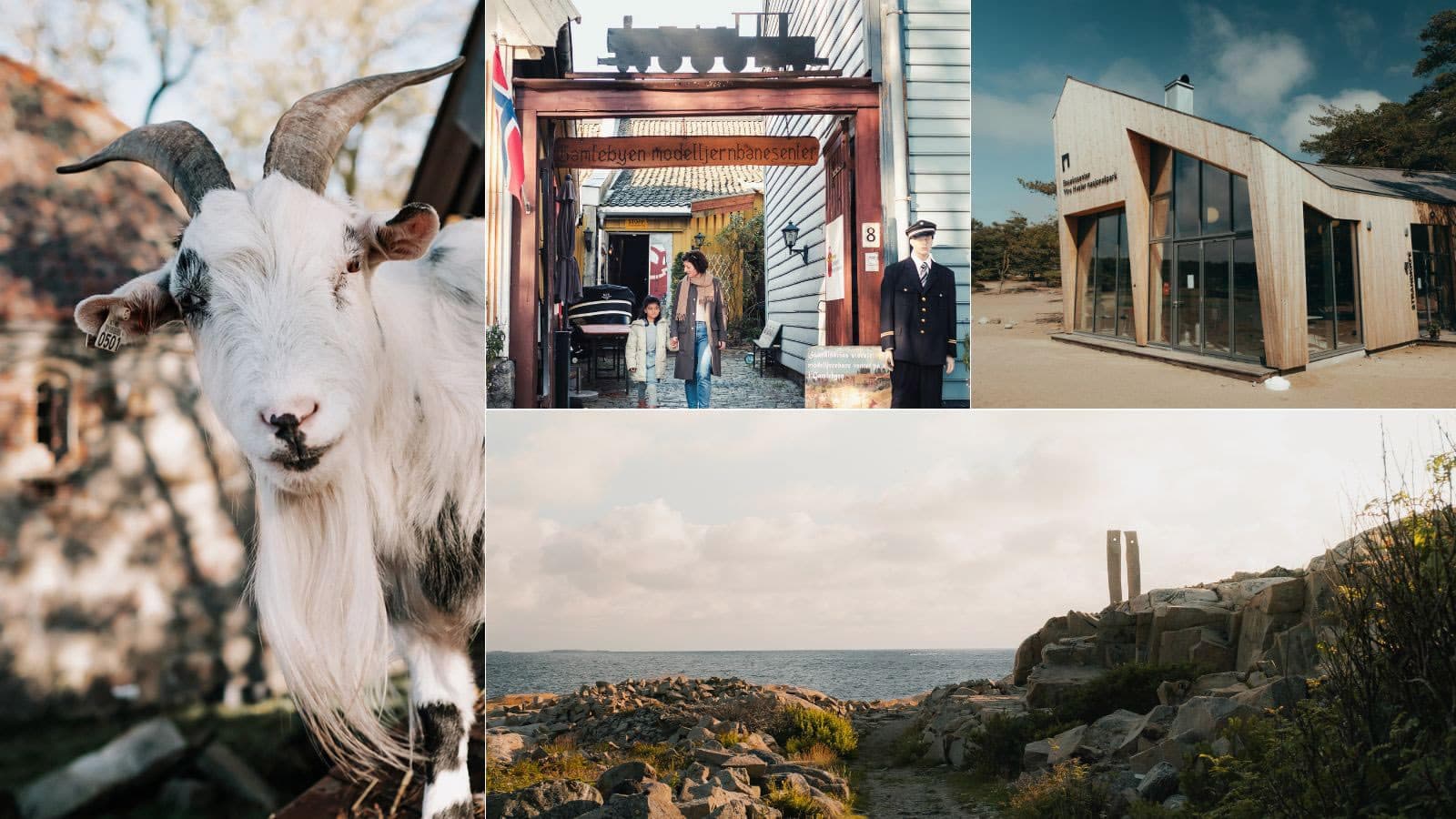 Collage med høstferieinspirasjon: En geit med lange horn står foran en murbygning i Gamlebyen. Inngangen til Gamlebyen Modelljernbanesenter vises, med en mor og et barn som går inn under et skilt formet som et lokomotiv. Et moderne trebygg står mot blå himmel på Storesand. Et kystlandskap med steiner og sti fører ned mot sjøen.