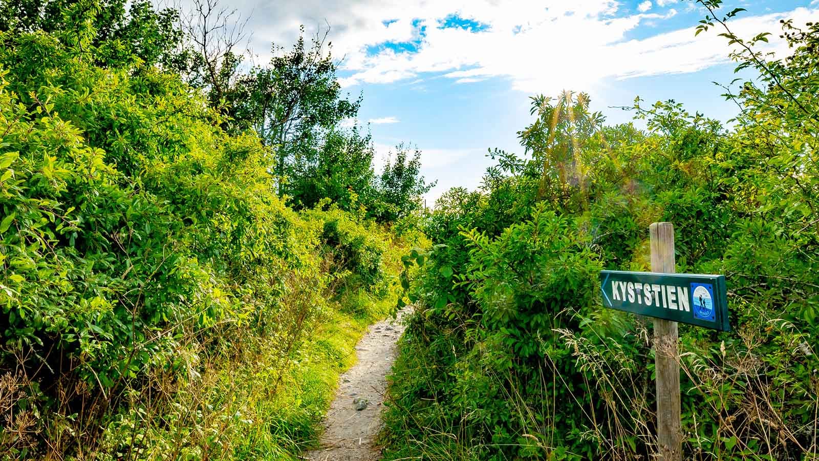 Kyststi på Asmaløy markert med skilt og grønne omgivelser, i et sommerlig og frodig landskap.